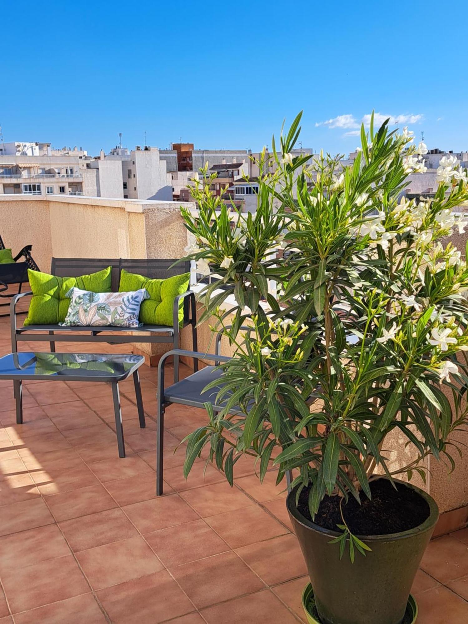 Atico Roof Top Torrevieja Eksteriør billede